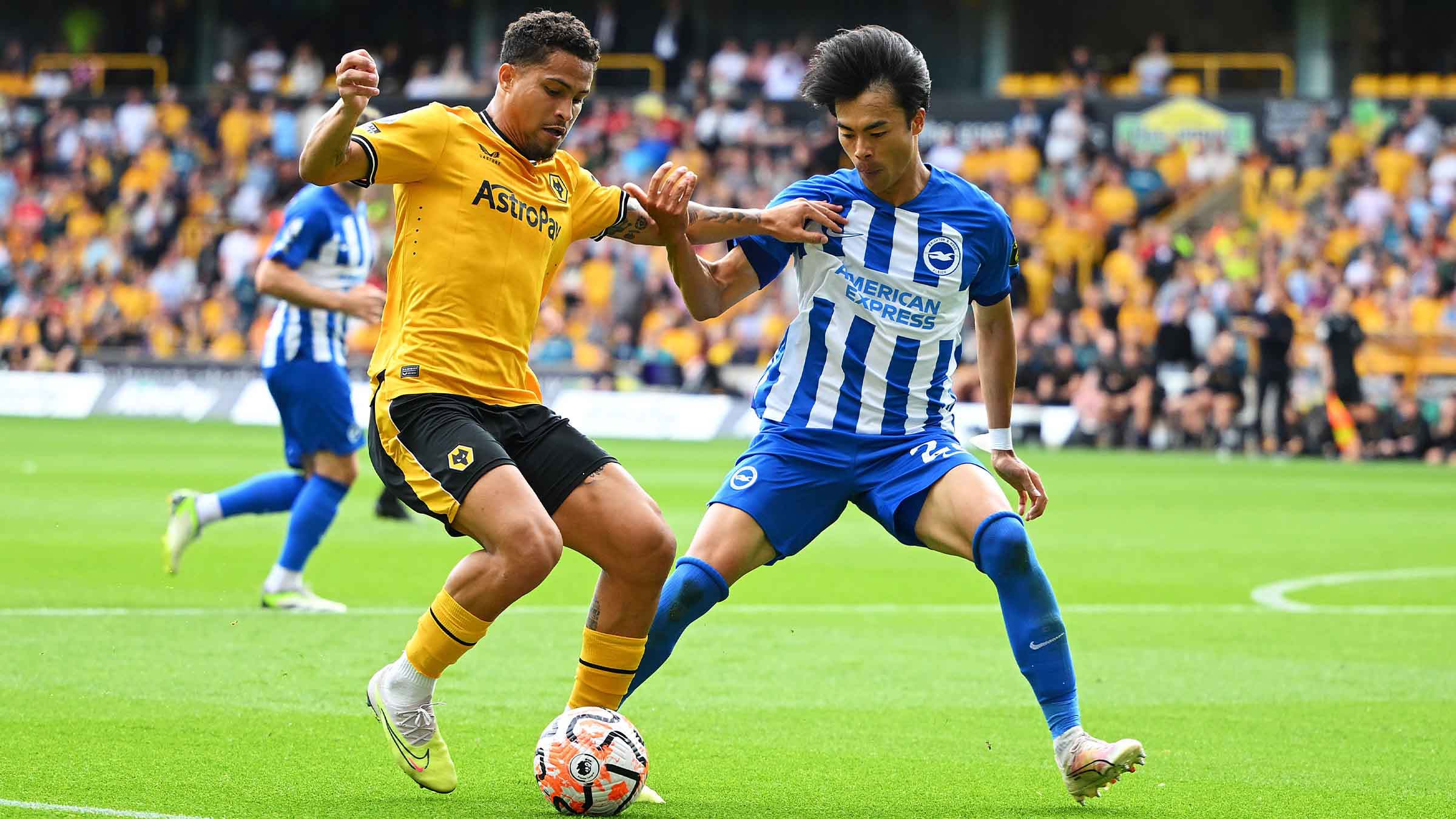 Nhận định soi kèo Brighton vs Wolves lúc 01h45 ngày 19/9/2024 nhan-dinh-soi-keo-brighton-vs-wolves-luc-01h45-ngay-19-9-2024-1